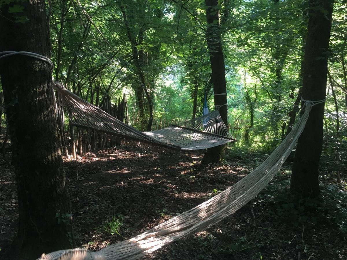 Villa Baronzola Montevarchi Luaran gambar
