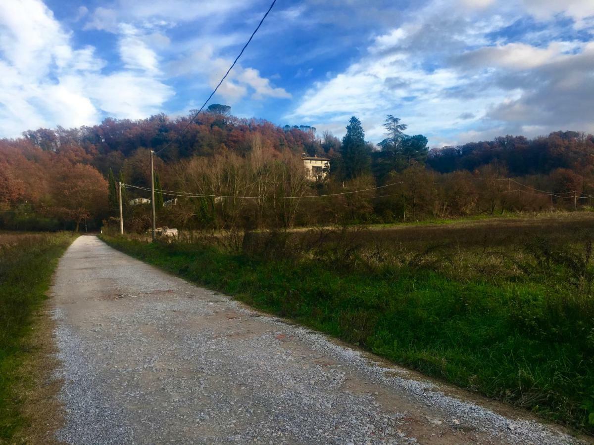 Villa Baronzola Montevarchi Luaran gambar
