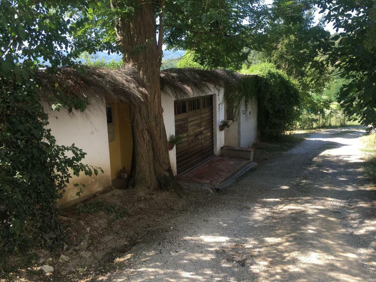 Villa Baronzola Montevarchi Luaran gambar