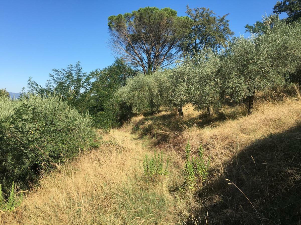 Villa Baronzola Montevarchi Luaran gambar