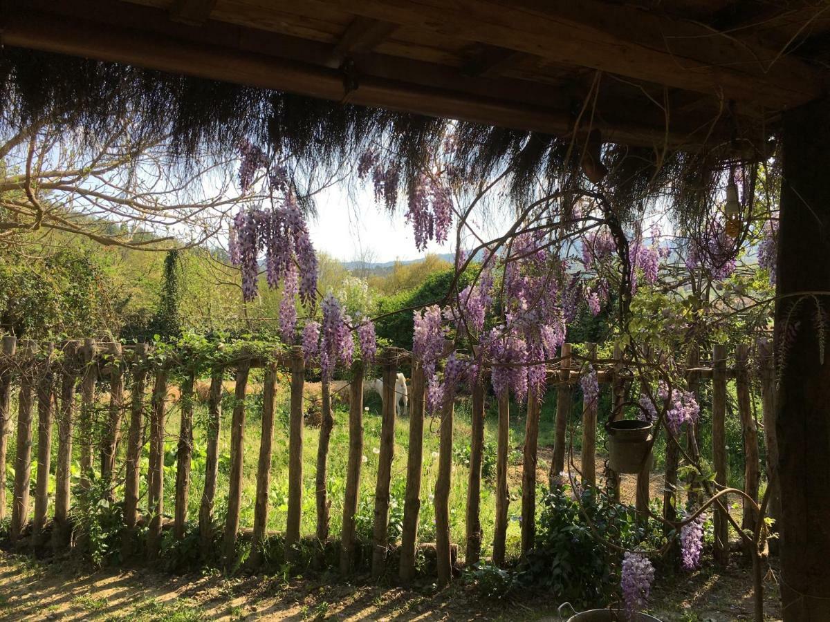 Villa Baronzola Montevarchi Luaran gambar